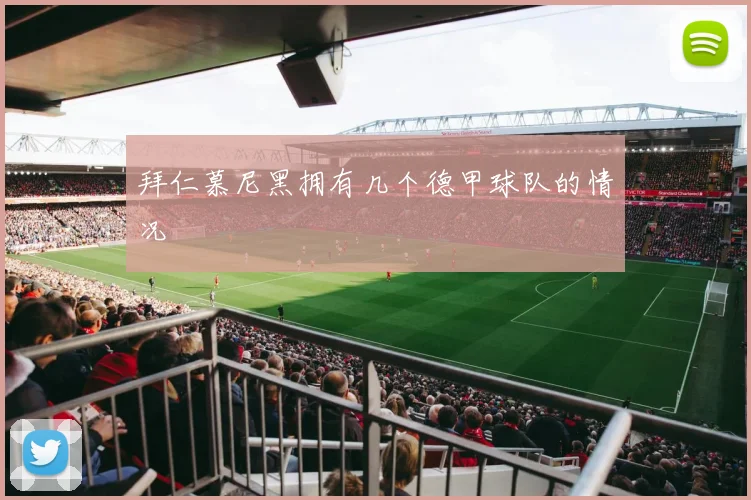 拜仁慕尼黑拥有几个德甲球队的情况