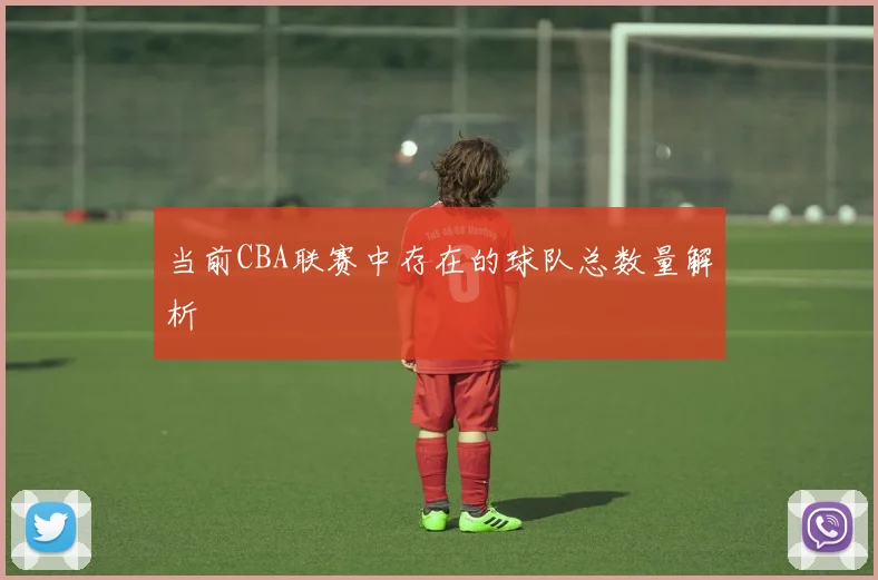 当前CBA联赛中存在的球队总数量解析